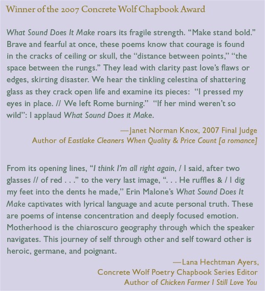 Insightful Blurb